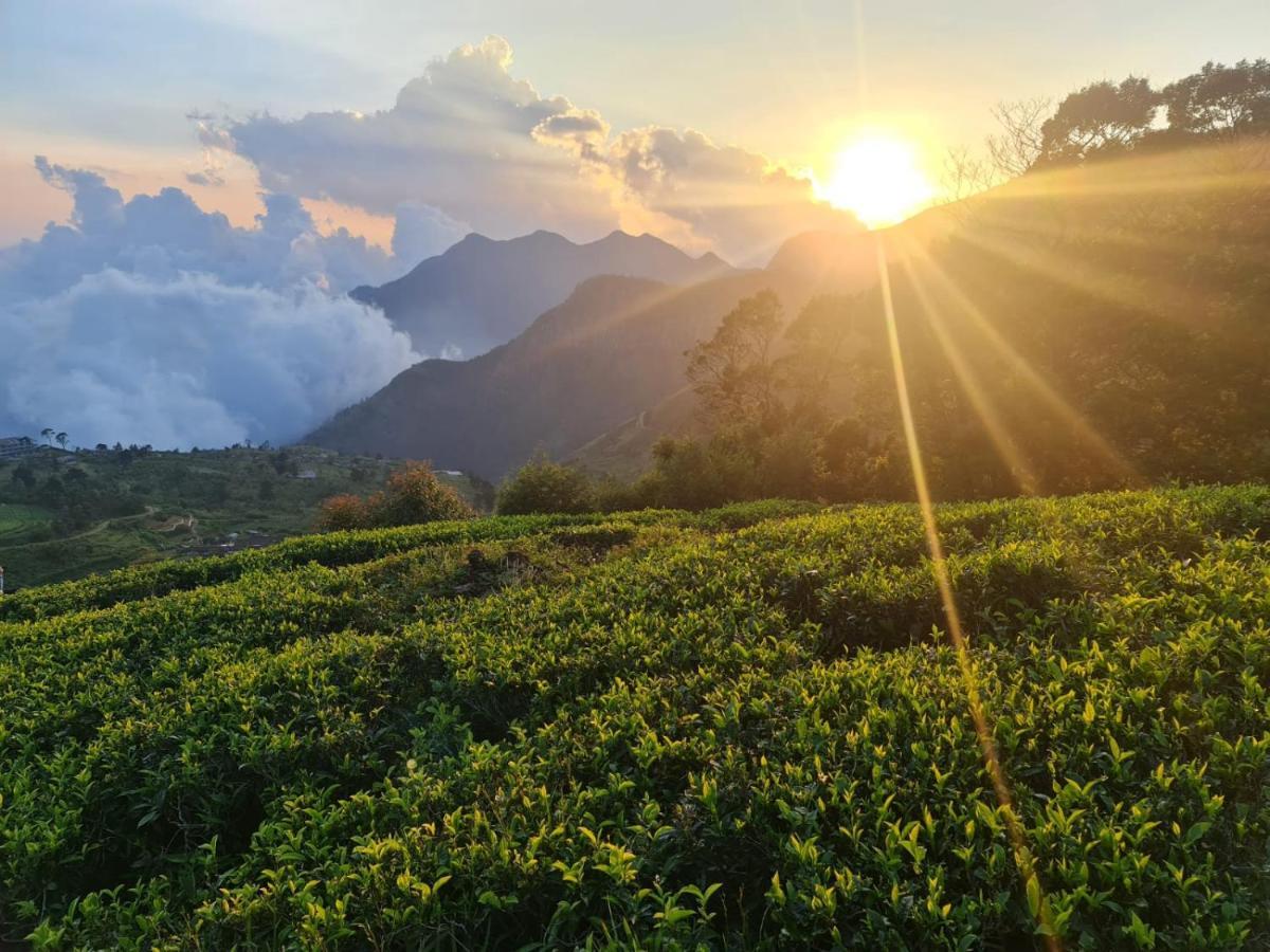 Hill Safari - Tea Estate Villa Ohiya Exterior photo