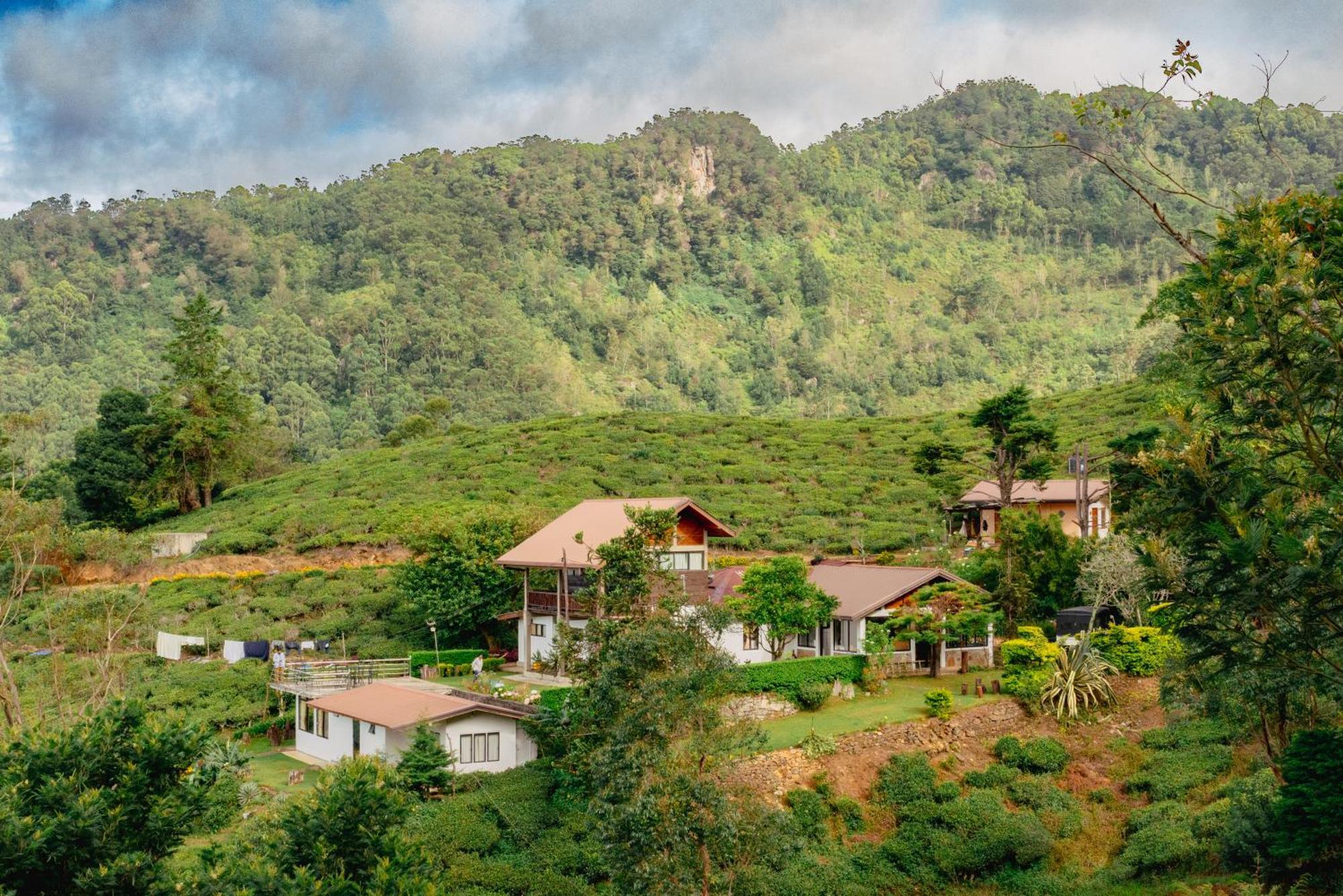 Hill Safari - Tea Estate Villa Ohiya Exterior photo