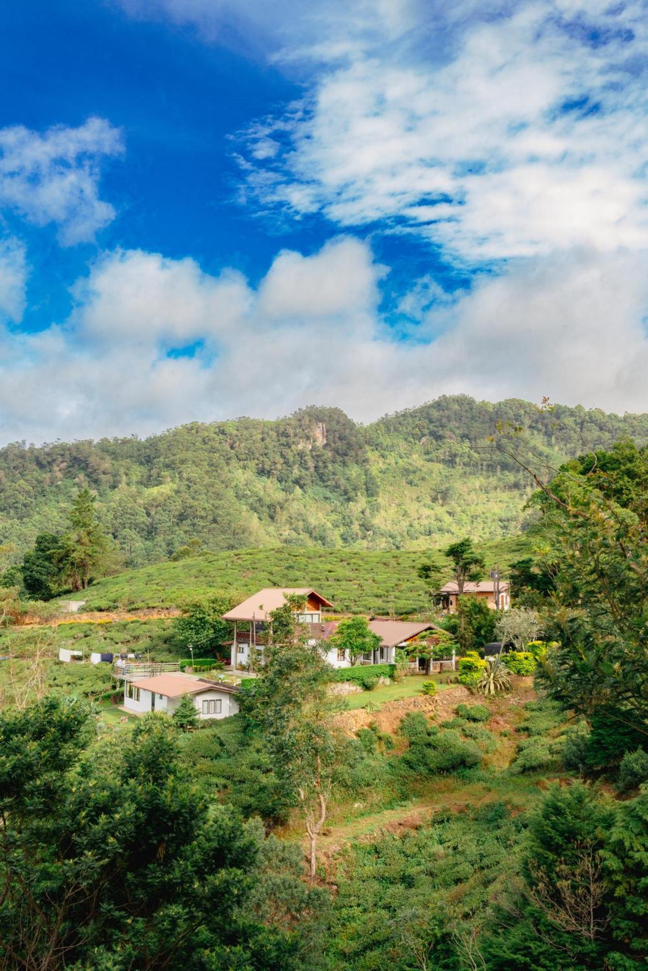 Hill Safari - Tea Estate Villa Ohiya Exterior photo